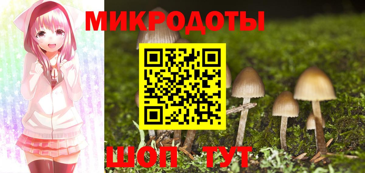 Сухой Лог  Псилоцибиновые грибы Cubensis  Вход с VPN 